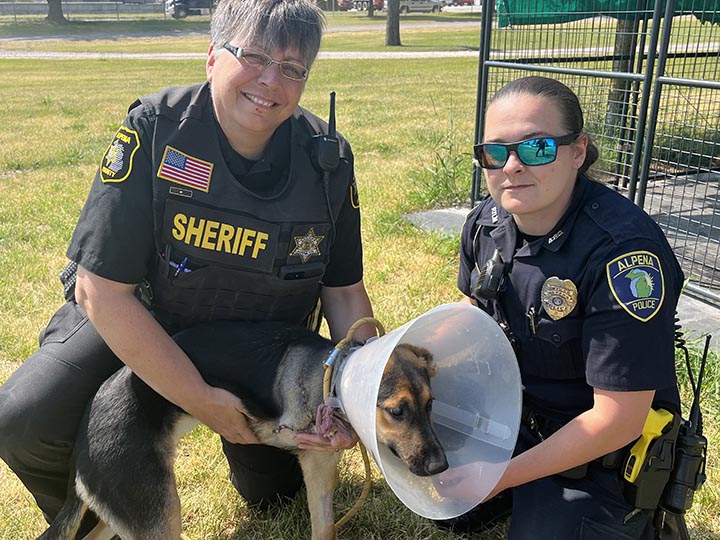 UPDATED Alpena sheriff Leave Animal Control agency as is, for now